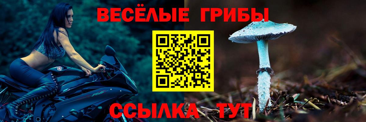 Галлюциногенные грибы ЛСД  Вход с VPN  Псилоцибиновые грибы GOLDEN TEACHER  Норильск 